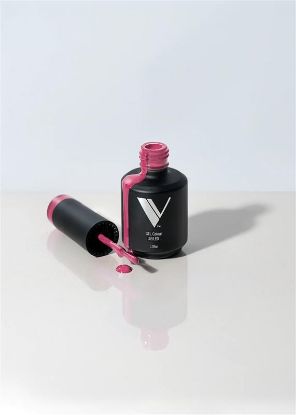 Picture of VBP GEL POLISH - 102