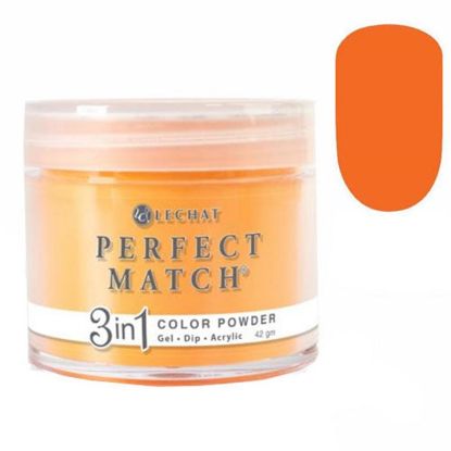 Picture of PERFECT MATCH 3IN1 COLOR PWD  PMDP268