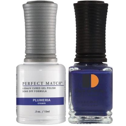 Picture of PERFECT MATCH DUO PMS101  PLUMERIA