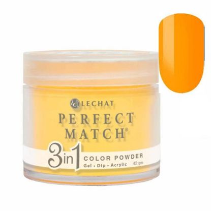 Picture of PERFECT MATCH 3IN1 COLOR PWD PMDP201  BLAZIN' SUN