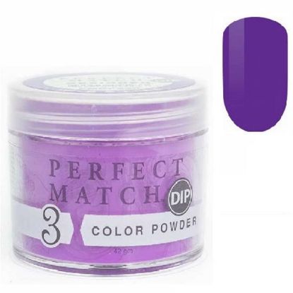 Picture of PERFECT MATCH 3IN1 COLOR PWD PMDP233  WILD & FREE