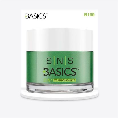 Picture of SNS BASICS DIPPING AND ACRYLIC PWD B169