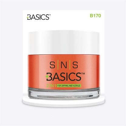 Picture of SNS BASICS DIPPING AND ACRYLIC PWD B170