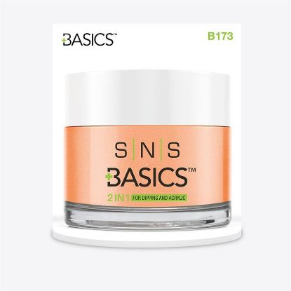 Picture of SNS BASICS DIPPING AND ACRYLIC PWD B173