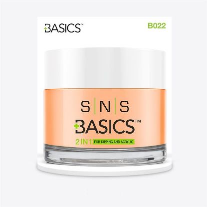 Picture of SNS BASICS DIPPING AND ACRYLIC POWDER B22