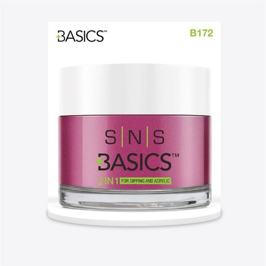 Picture of SNS BASICS DIPPING AND ACRYLIC PWD B172