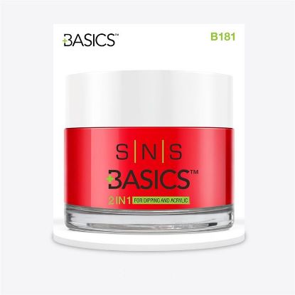 Picture of SNS BASICS DIPPING AND ACRYLIC PWD B181