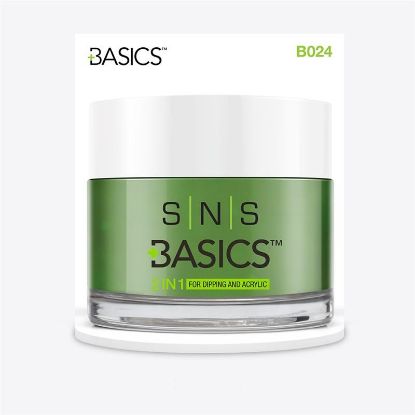 Picture of SNS BASICS DIPPING AND ACRYLIC POWDER B24