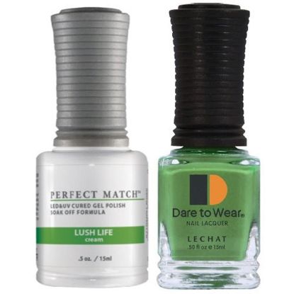 Picture of PERFECT MATCH DUO PMS178  LUSH LIFE