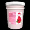 Picture of LA PALM SOFTENING SUGAR SCRUB HOT OIL MID SUMMER ROSE