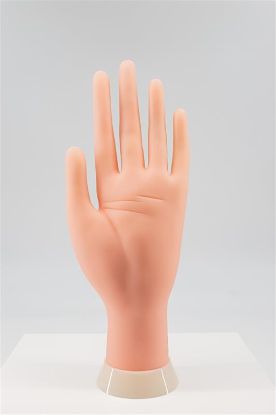 Picture of PRACTICE HAND