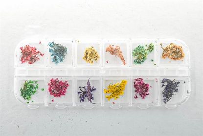 Picture of FULL BEAUTY GLITTER 10PC