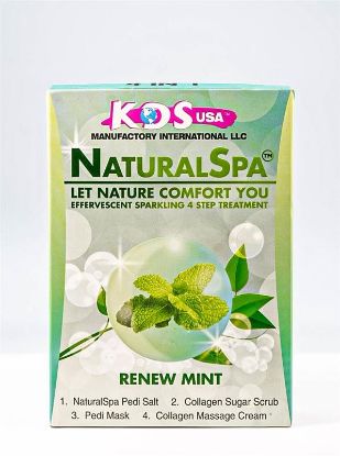 Picture of KDS RENEW MINT NATURAL SPA 4 STEP PEDICURE KIT CASE OF 88 PACKS