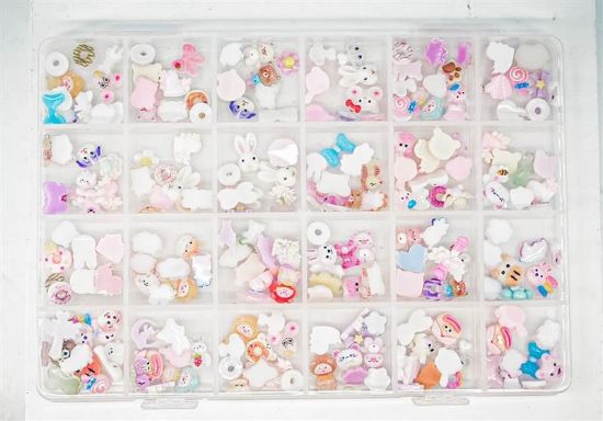 Picture of VARIETY CHARMS CASE 24PC STYLE 2