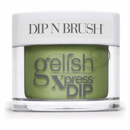 Picture of GELISH 483 LEAF IT ALL BEHIND DIP 43G (1.5 OZ)