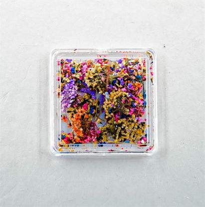 Picture of FASHION JEWELRY DRIED FLOWERS STYLE 3