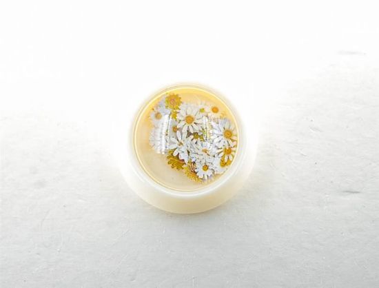 Picture of WHITE DAISY CONFETTI