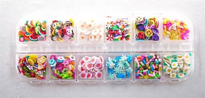 Picture of VARIOUS RESIN CHARMS 12PC STYLE 1