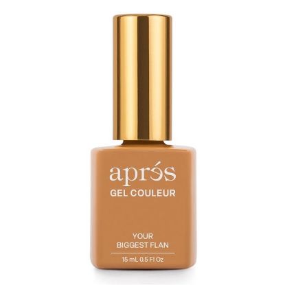 Picture of APRES GEL COULEUR - YOU’RE BIGGEST FLAN AP-5GCHF304-NP HEMA TPO FREE