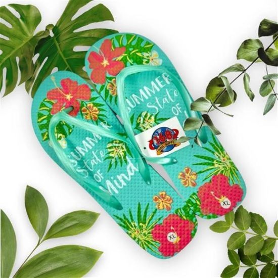 Picture of 168 SLIP ON SLIPPER LIGHT BLUE CASE OF 100 PAIRS