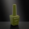 Picture of CHAUN LEGEND GEL POLISH-PEAS AND LOVE LG5231