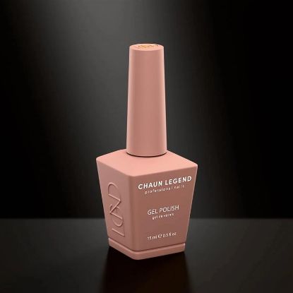 Picture of CHAUN LEGEND GEL POLISH-BANK ON IT LG5105