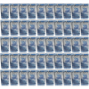 Picture of NBC DELUXE PEDICURE KIT PACIFIC WAVES CASE OF 50 KIT