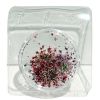 Picture of RED DRIED FLOWERS 04