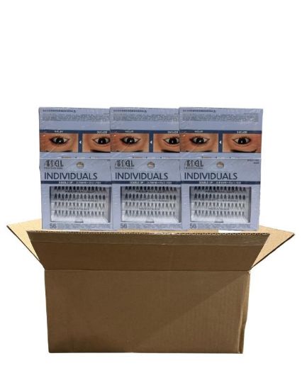 Picture of ARDELL INDIVIDUALS LASH TRAY CASE 72 PCS