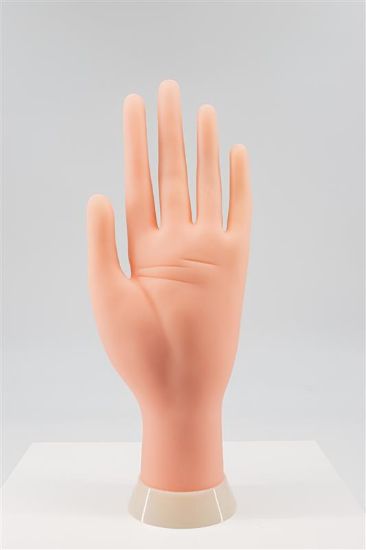 Picture of PRACTICE HAND JJPH-10030