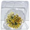 Picture of YELLOW DRIED FLOWERS 03