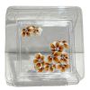 Picture of 3D ACRYLIC FLOWER 13