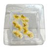 Picture of 3D ACRYLIC FLOWER 02