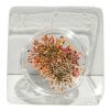 Picture of ORANGE DRIED FLOWERS 06