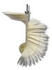 Picture of SPIRAL COLOR CHART STILETTO TIP JJCC-20580