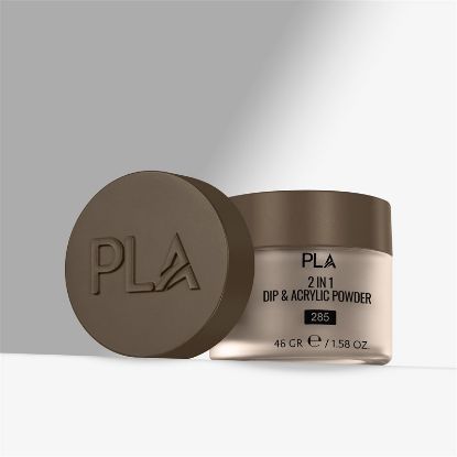 Picture of PLA WE GOT CHEMISTREE - 285 - DIP POWDER