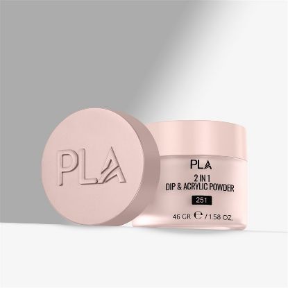 Picture of PLA SAY CHEESE! - 251 - DIP POWDER