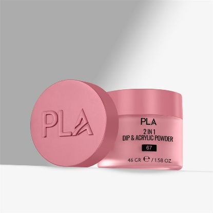 Picture of PLA STAGE 5 CLINGER - 67 - DIP POWDER
