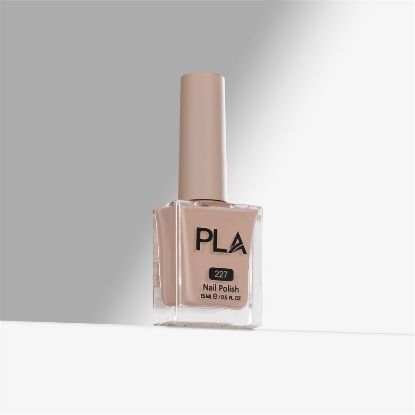 Picture of PLA YOUR BIGGEST FLAN - 227 - OIL LACQUER