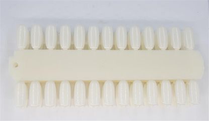 Picture of SAMPLE CHART 2 TRAY JJCC-20440