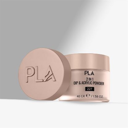 Picture of PLA YOUR BIGGEST FLAN - 227 - DIP POWDER