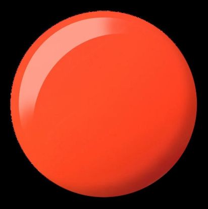 Picture of DC PWD 2542 UNTAMED