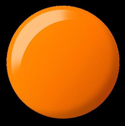 Picture of DC PWD 2539 CITRUS AFFAIRS