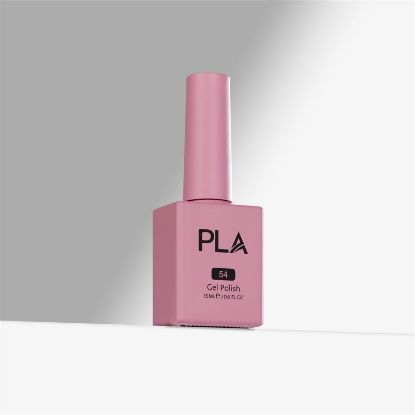 Picture of PLA SOME PINKS ARE WORTH MELTING FOR - 54 GEL