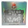 Picture of 3D ACRYLIC FLOWER 04