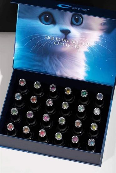 Picture of CHISEL LIQUID DOUBLE LINE CATEYE 24 COLORS GEL