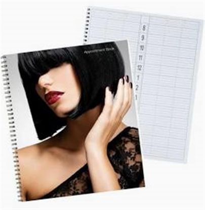 Picture of DL PROFESSIONAL APPOINTMENT BOOK 6 COLUMN
