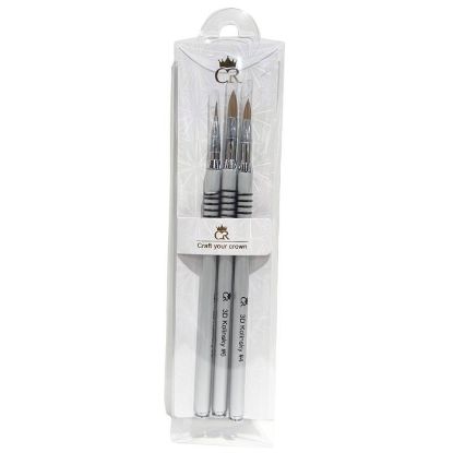Picture of CROWN 3PC 3D FLOWER BRUSH SET