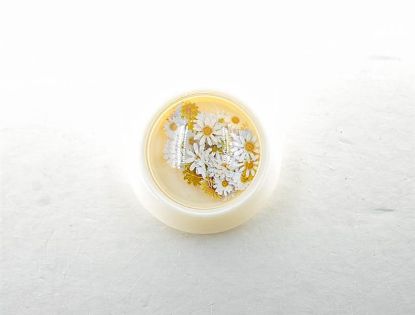 Picture of WHITE DAISY CONFETTI