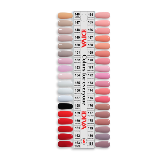 Picture of DIVA TRAY 05 - 36 COLORS